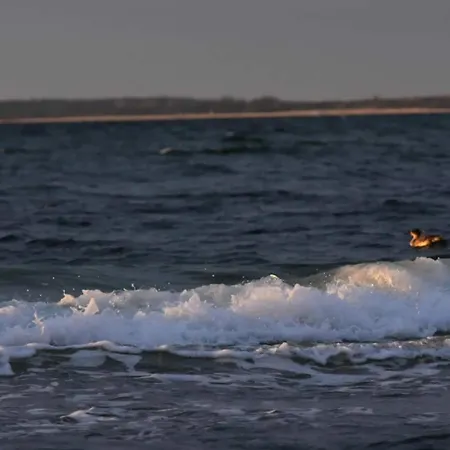 Prázdninový dům 10 Person In Farevejle-by Traum *